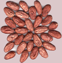 Semillas de cacao